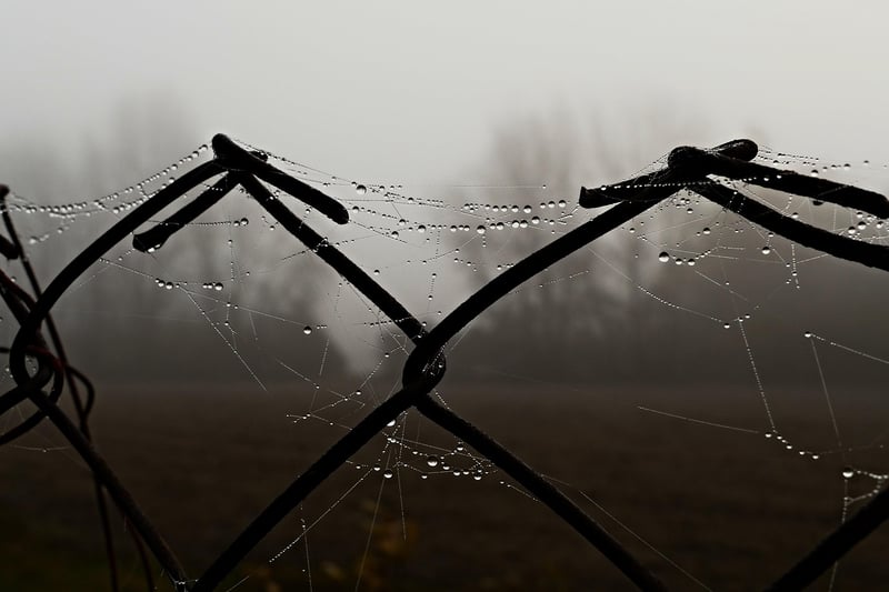 Suspenseful Plots