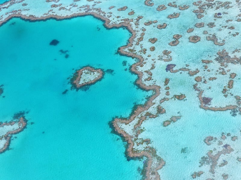 The Great Barrier Reef, Australia